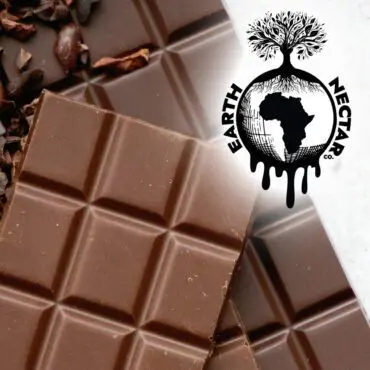 Chocolate bar squares with cacao beans and the Earth Nectar Co. logo