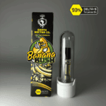 Banana Kush 510-thread THC cartridge by Earth Nectar Co., retail box and glass cartridge