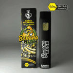 Banana Kush THC disposable vape by Earth Nectar Co., retail box and device