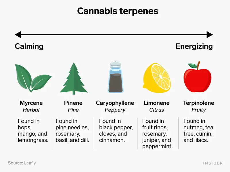 Types of terpenes