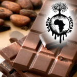 Dark Chocolate 20g 100mg THC