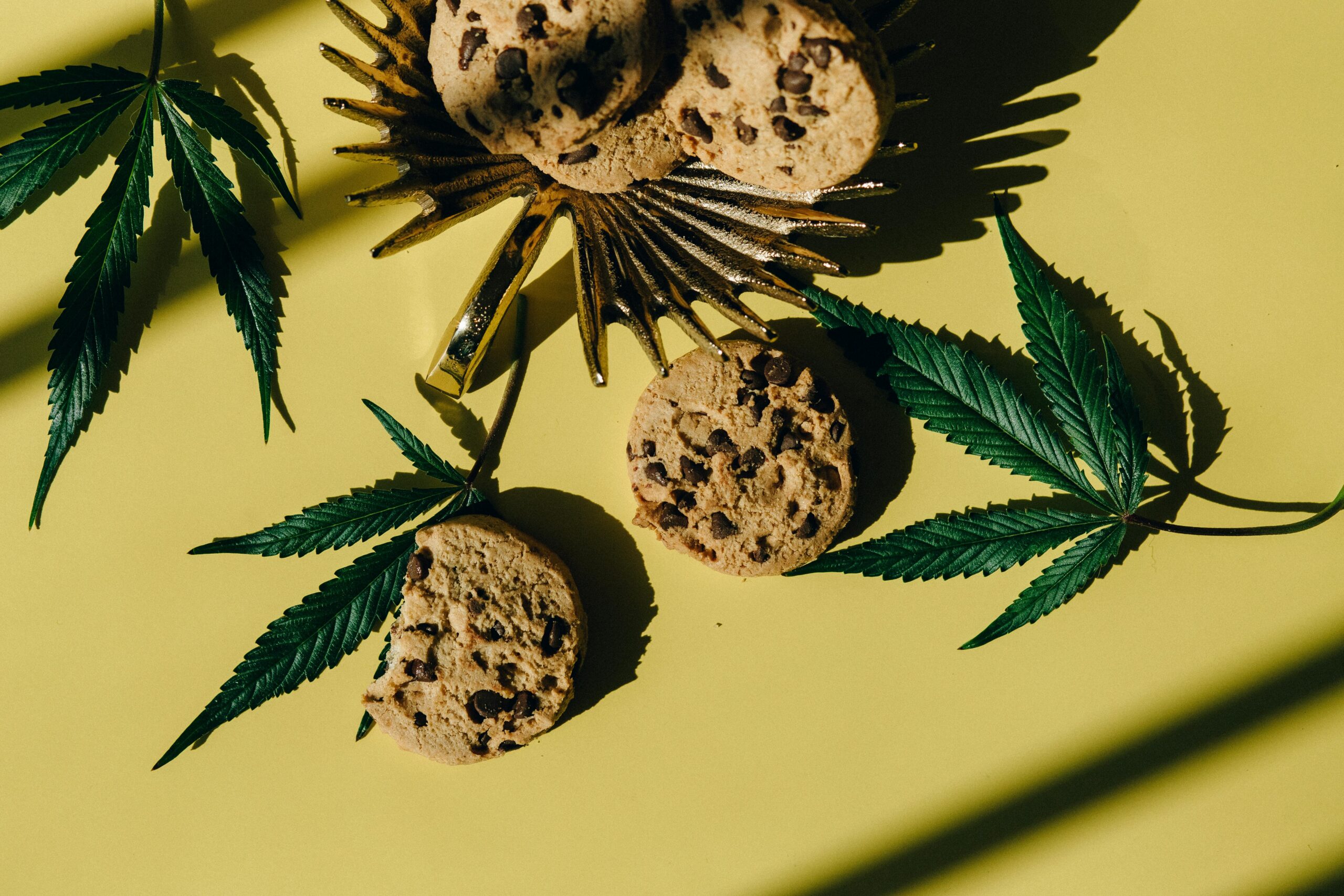 Cannabis Edible