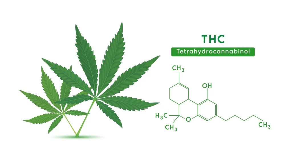 Delta 9 THC