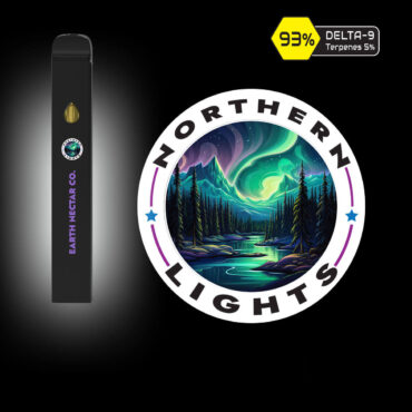 Northern Lights