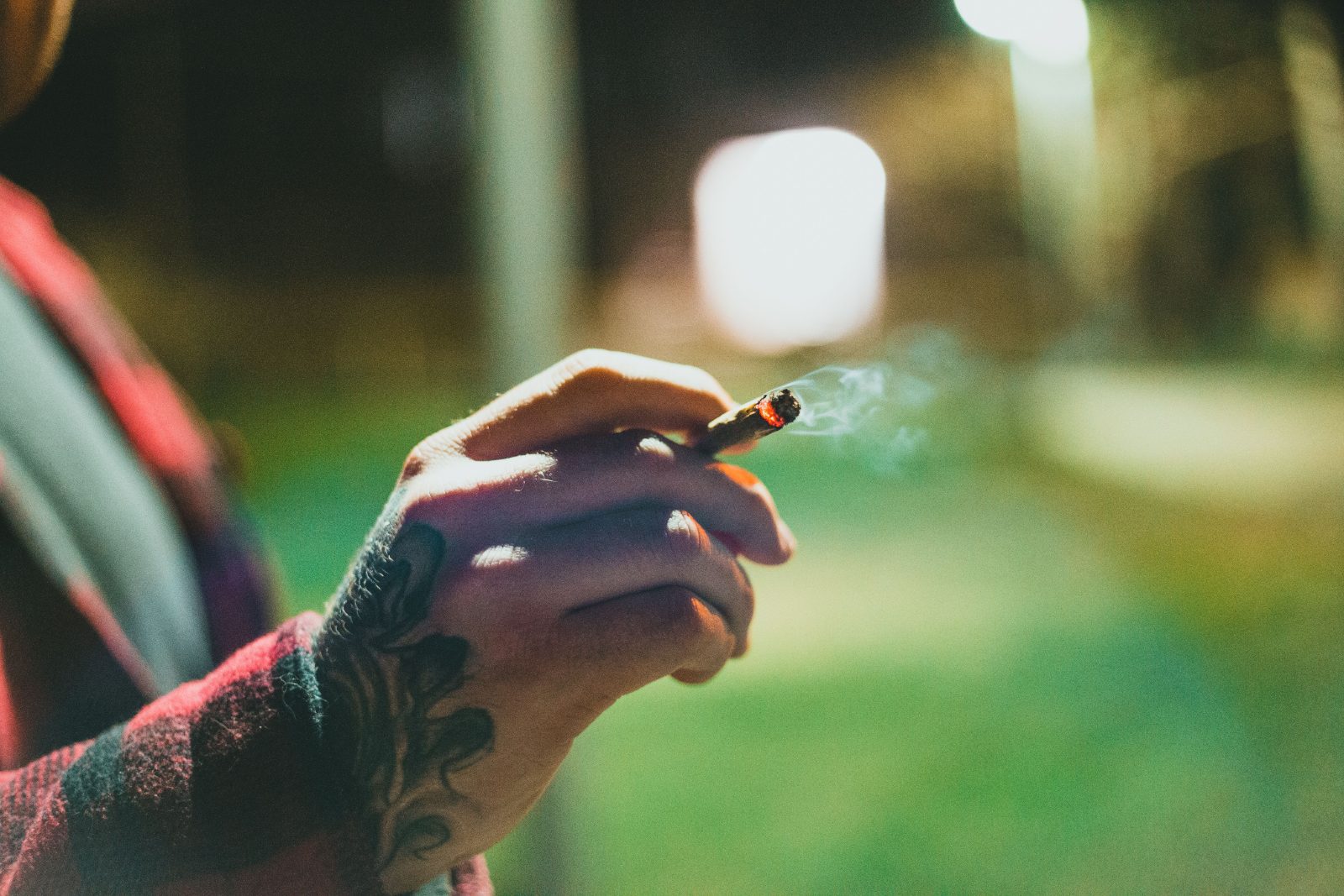 A hand holding a rolled cannabis joint outdoors in the evening light.